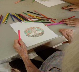 IMG_20191028_155127800