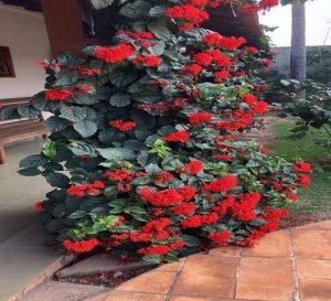 WhatsApp Image 2023-07-10 at 16.00.00